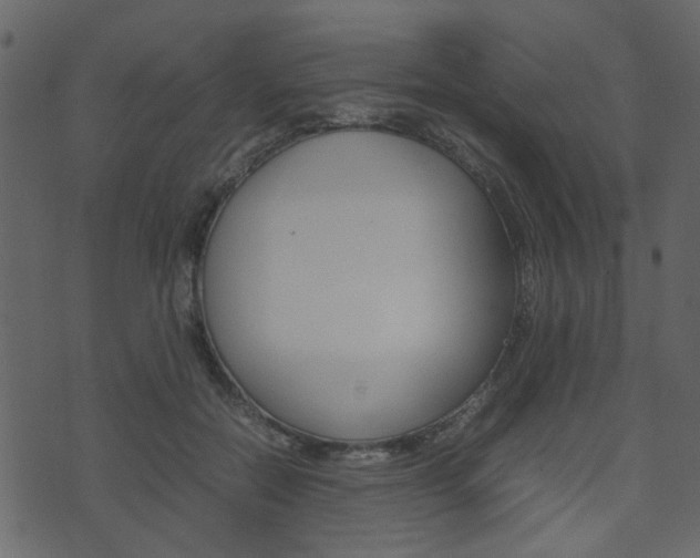X0000074290554200608250930