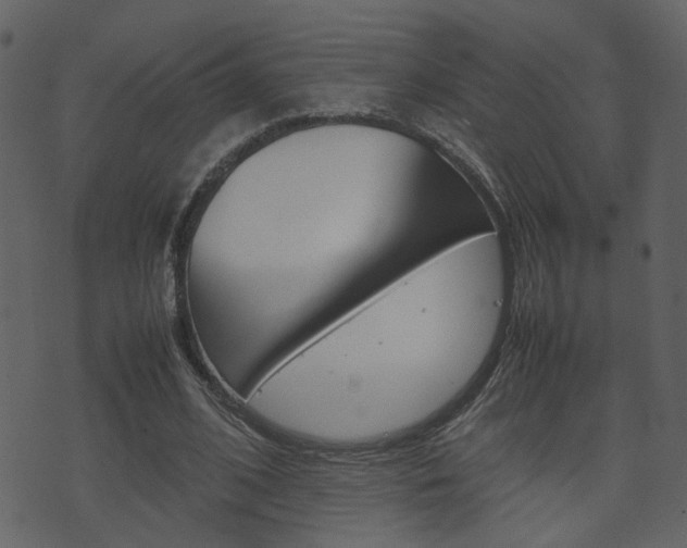 X0000074290584200608250929