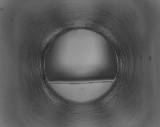 X0000074290588200608250929