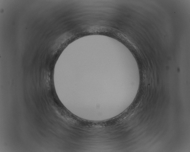 X0000074290592200608250929