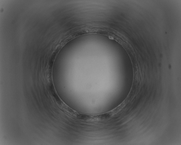 X0000074290604200608250929