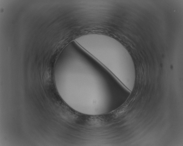 X0000074290608200608250929