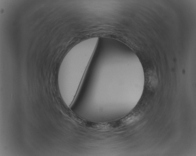 X0000074290615200608250929