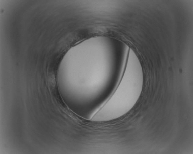 X0000074290617200608250929