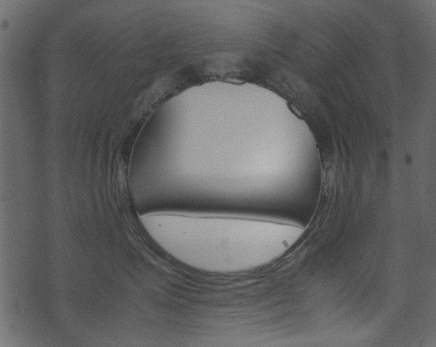 X0000074290623200608250929