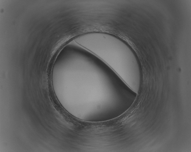 X0000074290626200608250928