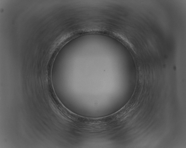 X0000074290631200608250928