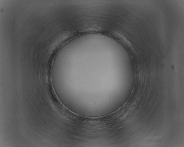 X0000074290635200608250928