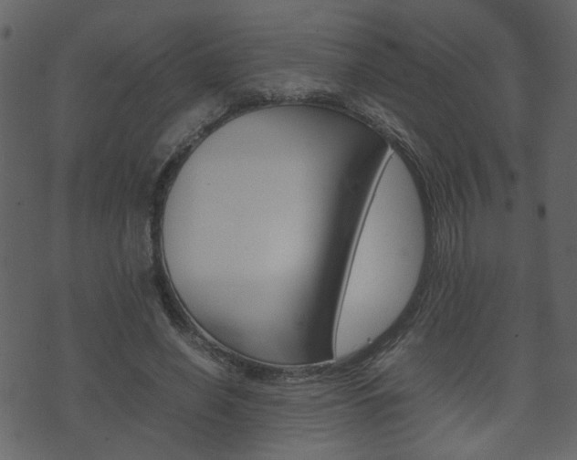 X0000074290638200608250928
