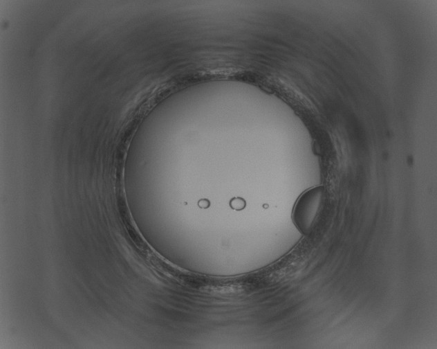 X0000074290639200608250928
