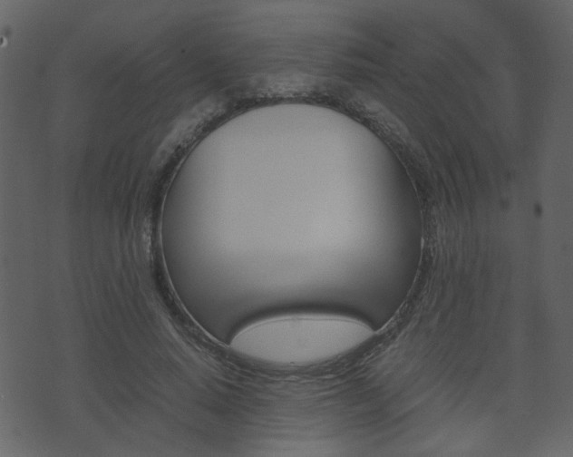 X0000074290640200608250928