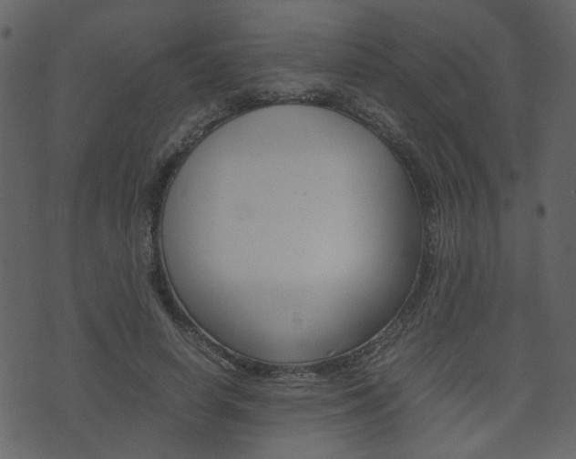 X0000074290642200608250928