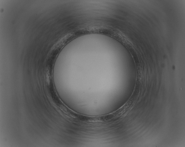 X0000074290644200608250928