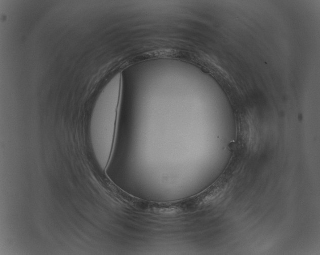 X0000074290645200608250928