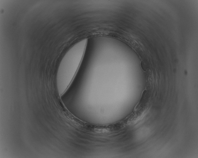 X0000074290649200608250928