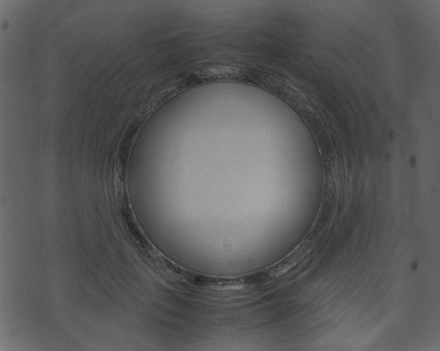 X0000074290651200608250928