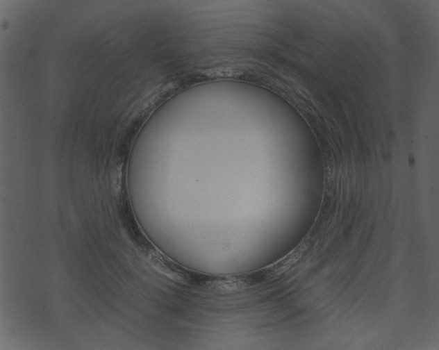 X0000074290652200608250928
