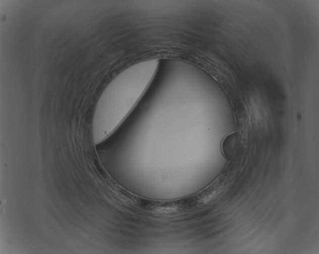 X0000074290653200608250928