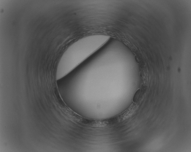 X0000074290656200608250928