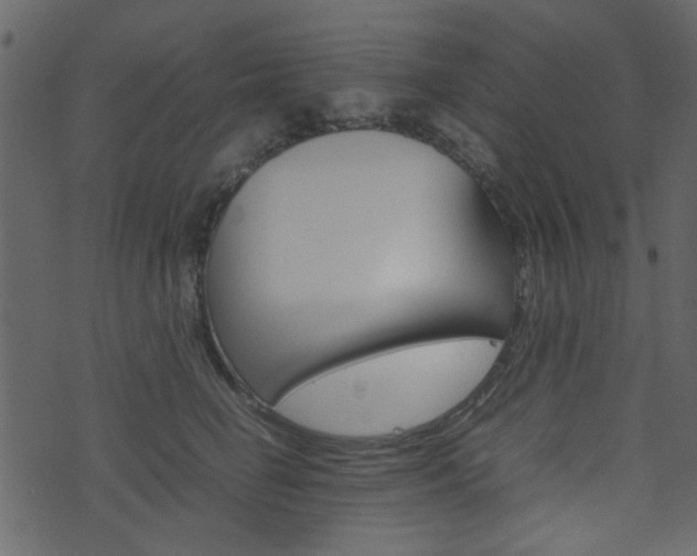 X0000074290662200608250929
