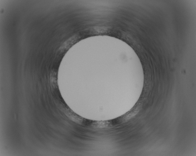 X0000074290672200608250929