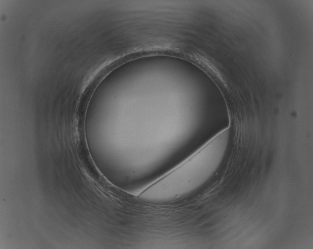 X0000074290676200608250928