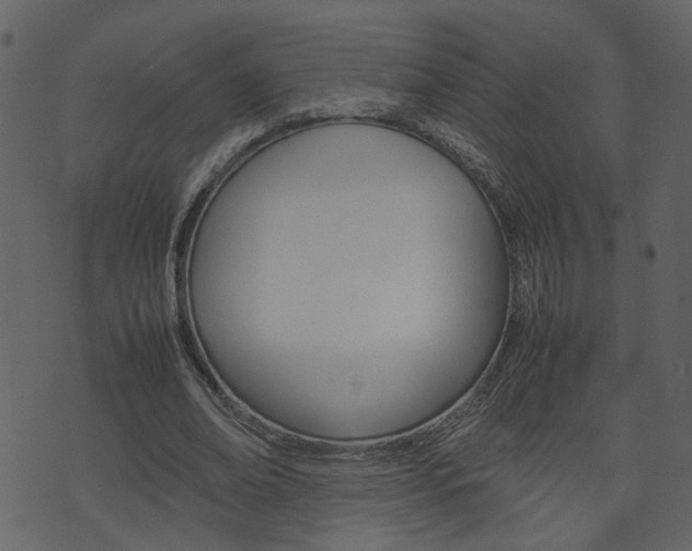 X0000074290678200608250928