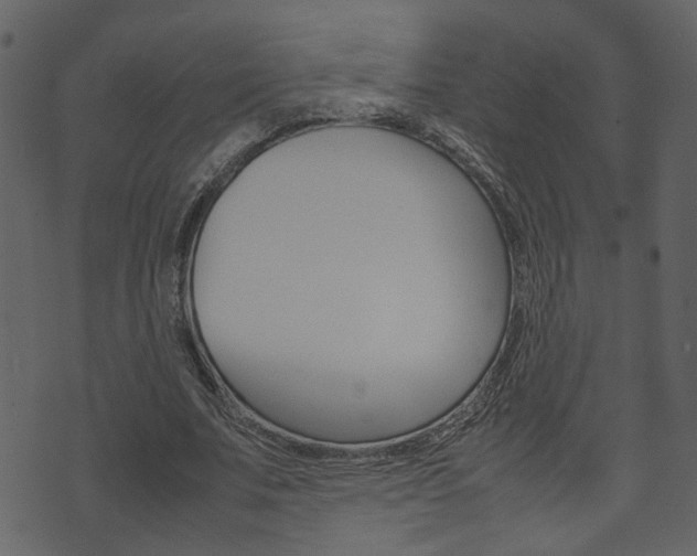 X0000074290679200608250928