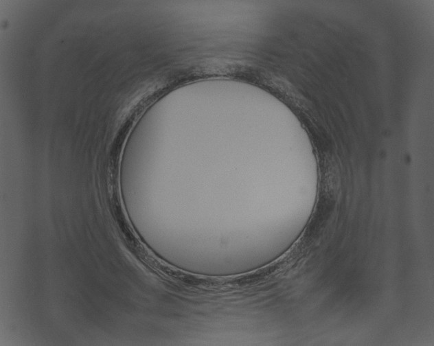 X0000074290683200608250928