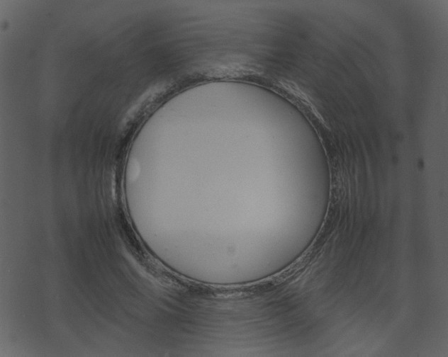 X0000074290686200608250928
