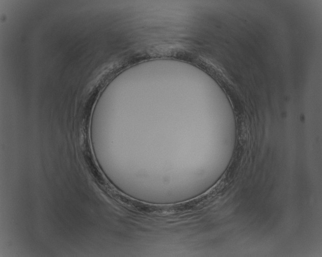 X0000074290687200608250928