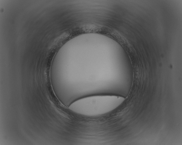 X0000074290690200608250928