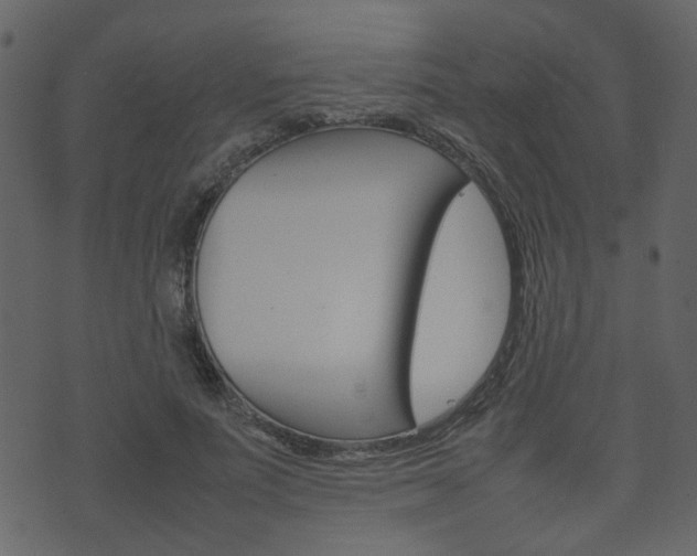 X0000074290691200608250927