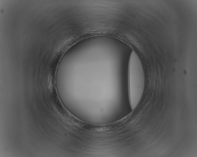 X0000074290692200608250927