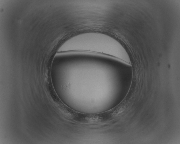X0000074290693200608250927
