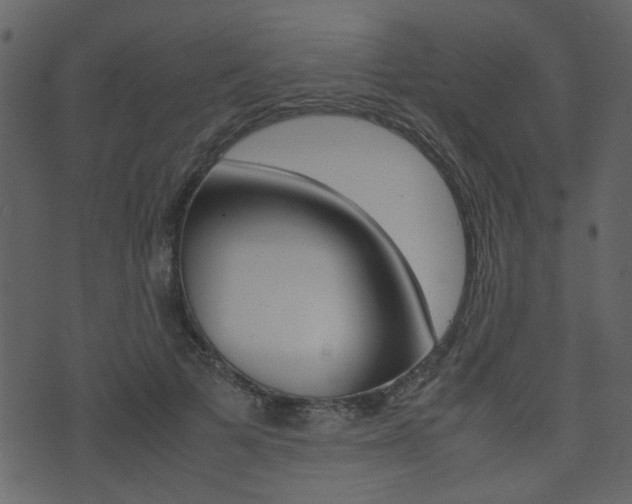 X0000074290697200608250927