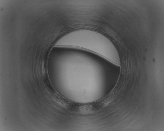 X0000074290700200608250927