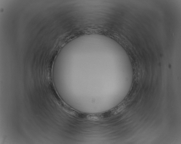 X0000074290706200608250927