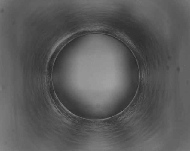 X0000074290724200608250926