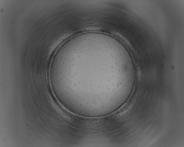 X0000074290725200608250926