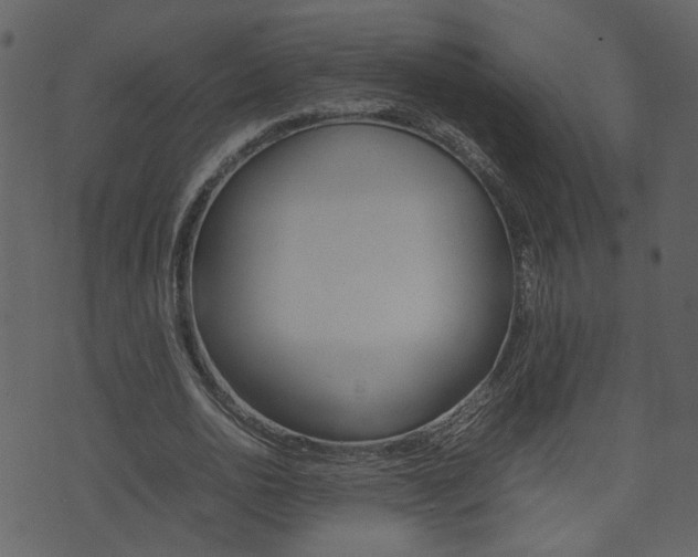 X0000074290726200608250926