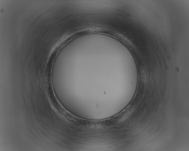 X0000074290730200608250926