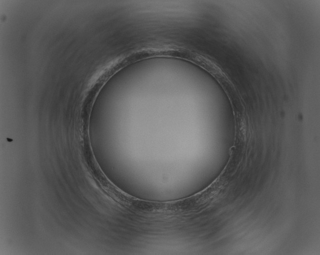 X0000074290732200608250926