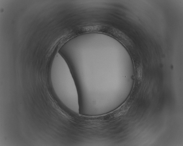X0000074290733200608250926