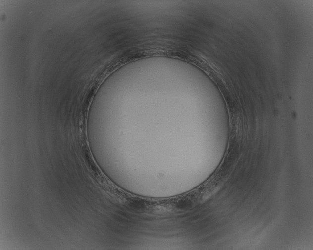 X0000074290737200608250926