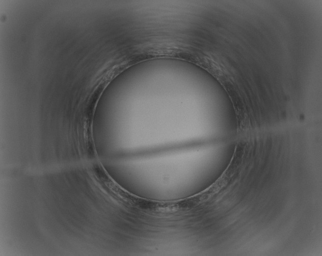 X0000074290744200608250927
