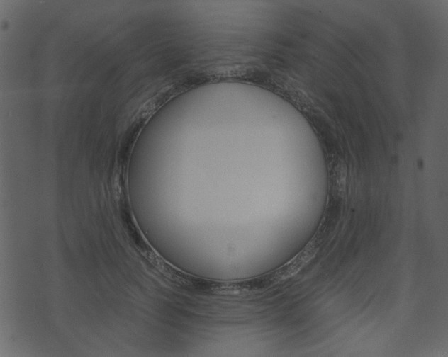 X0000074290746200608250927