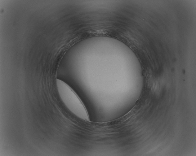 X0000074290747200608250927