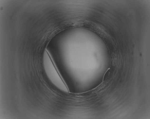X0000074290748200608250927