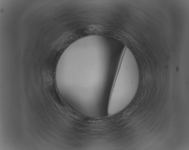 X0000074290751200608250927